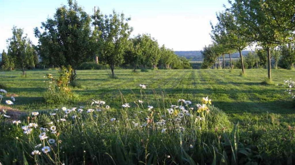 مبيت وإفطار Canapville  Le Mont D'Auge المظهر الخارجي الصورة